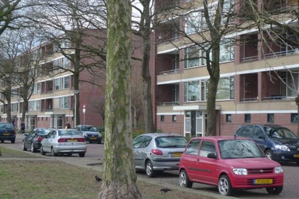 Rembrandtlaan 264