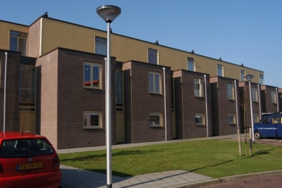 Vederkruid 12