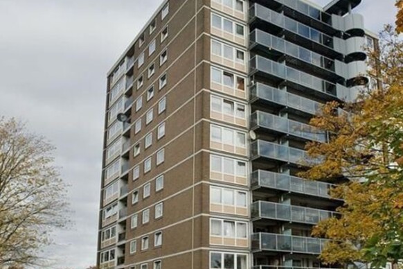 Meeuwenstraat 58