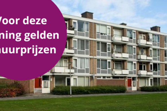 Waalstraat 56