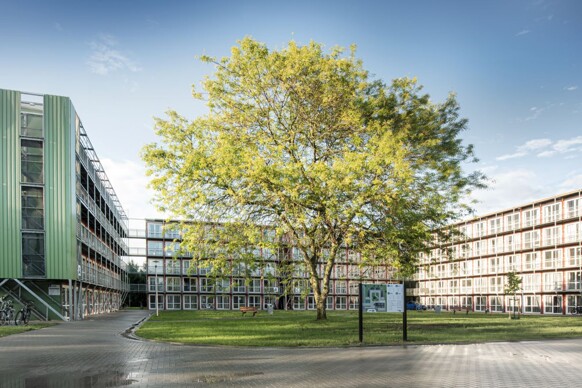Sportlaan Driene 292