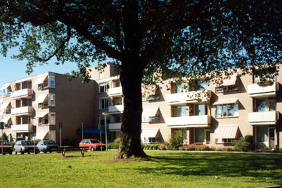 Groot Bokhove 75