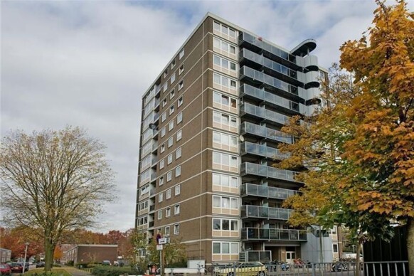 Spechtstraat 127