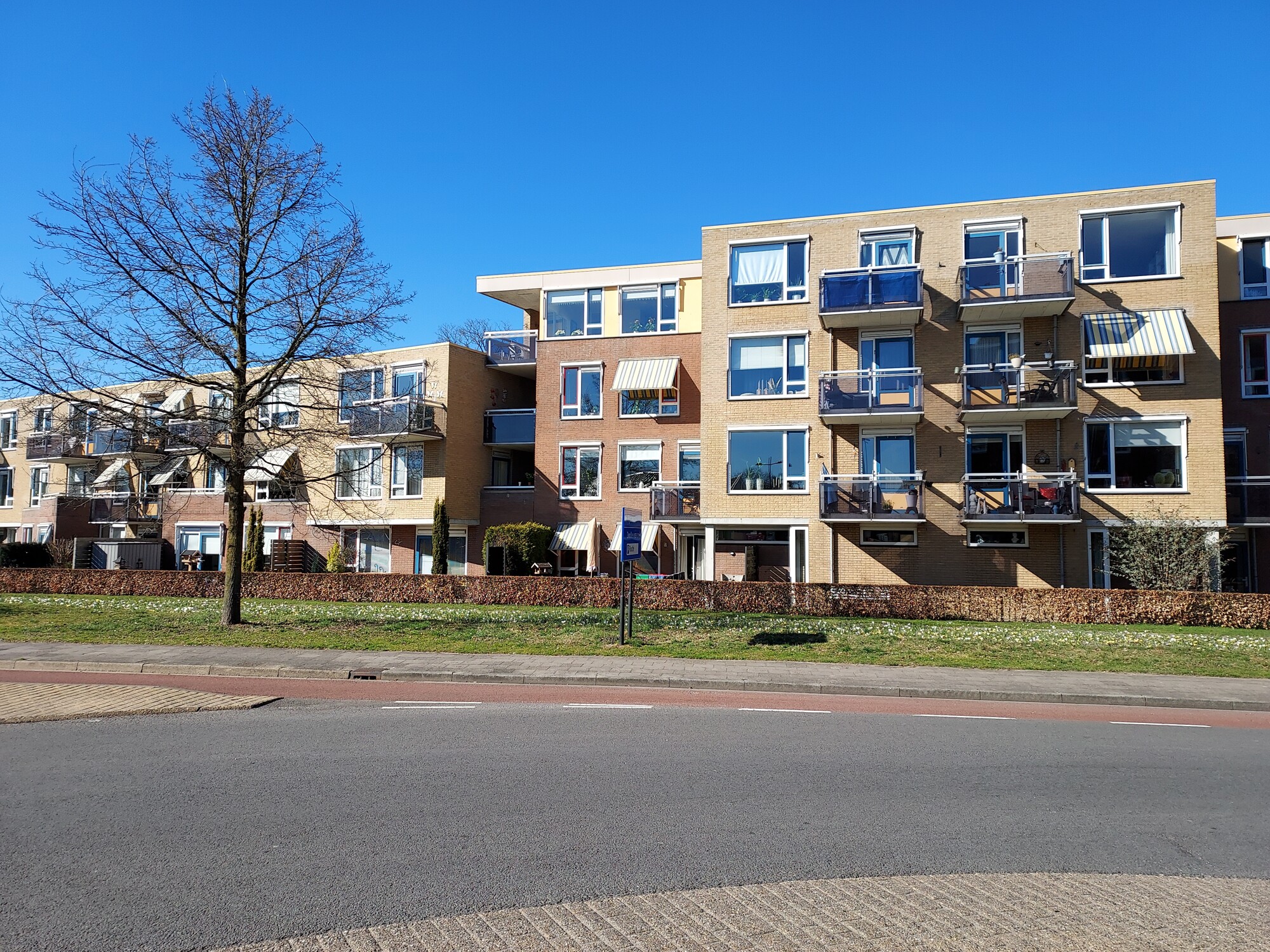 Jacob van Houtestraat 38