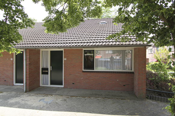 Kamperfoelie 70