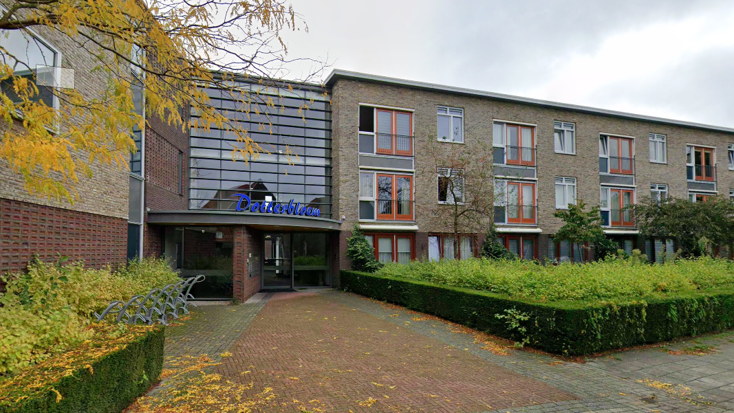Dotterbloemstraat 40