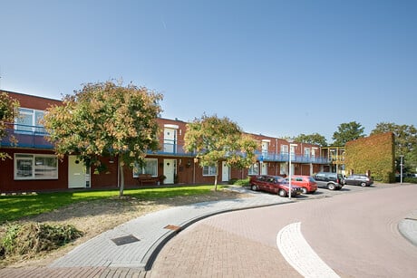 Koeweide 80