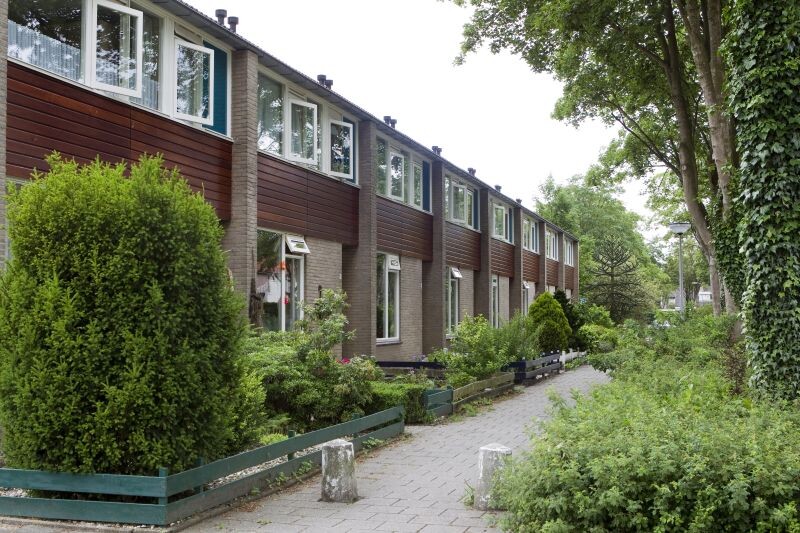 Elswout 4