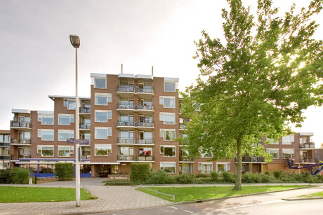 Hoge Bothofstraat 302