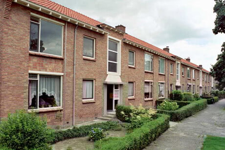Dotterbloemstraat 62