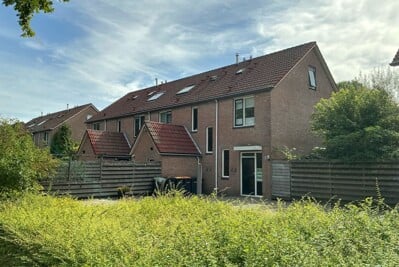 De Aalscholver 29