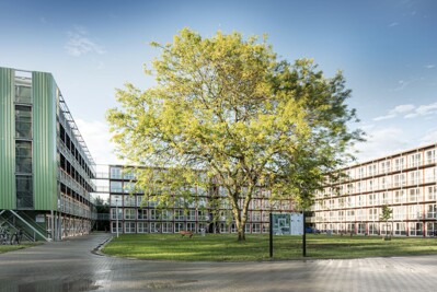 Sportlaan Driene 324